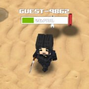 Pixel Steve Craft Shooter